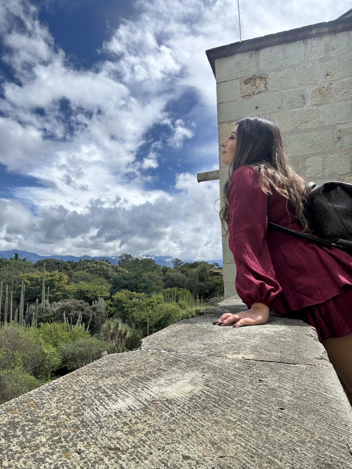 Header image for Oaxaca, Oax., México