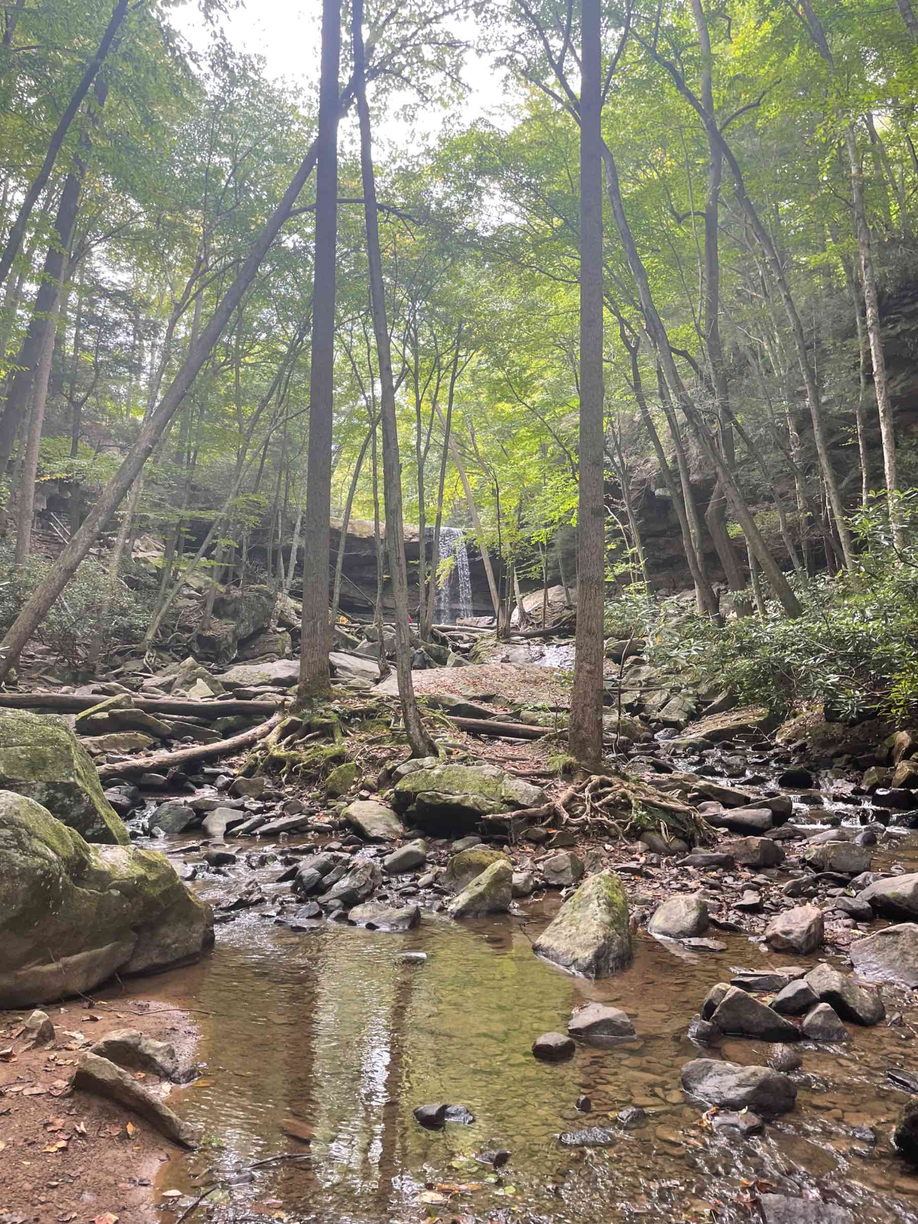 Header image for Ohiopyle, Pennsylvania, United States