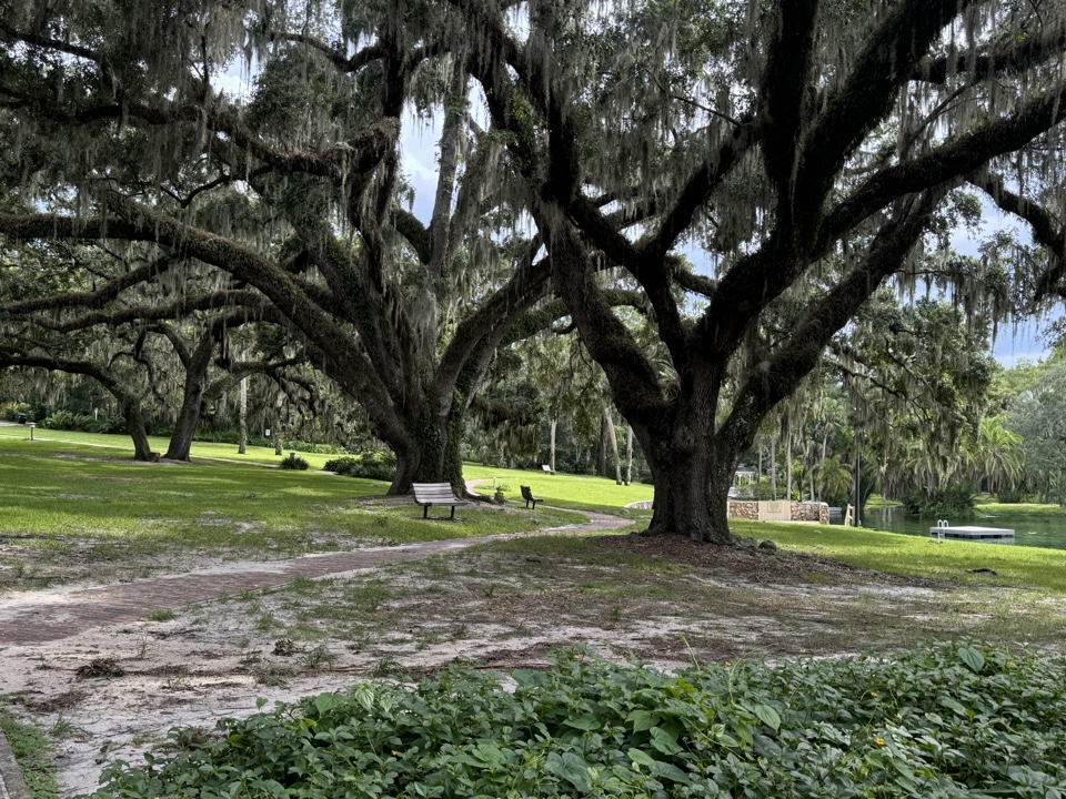 Header image for Longwood, FL, United States