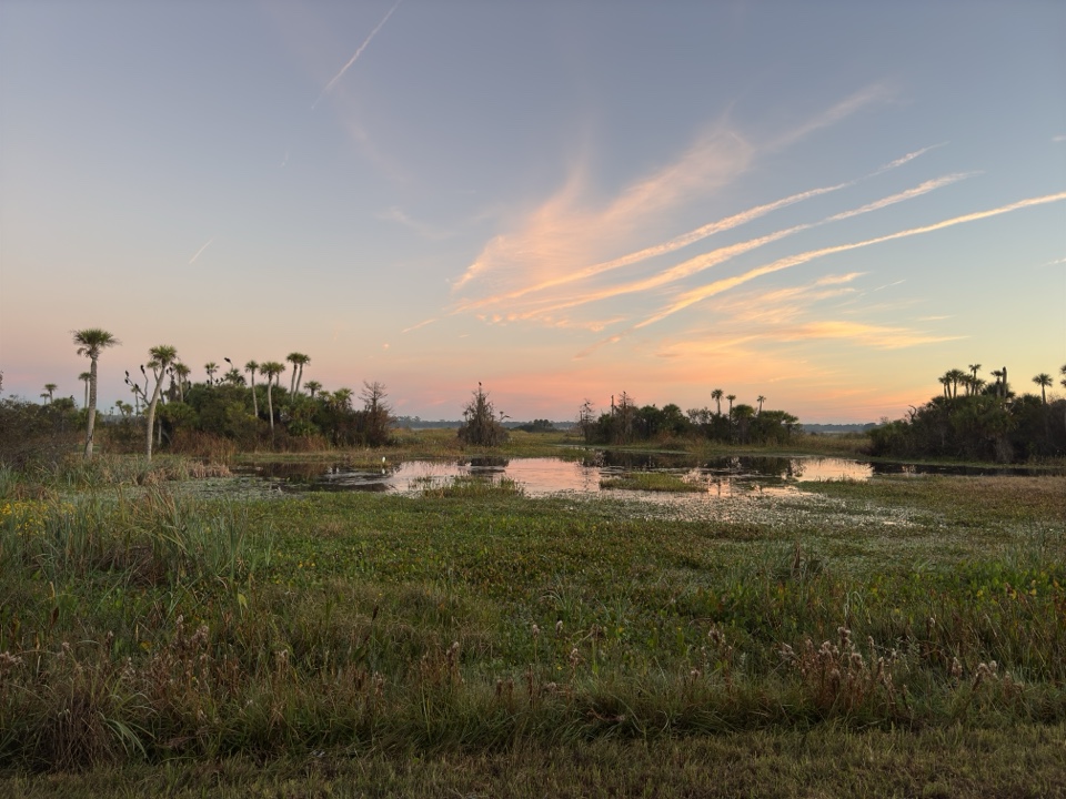 Header image for Orlando, FL, United States