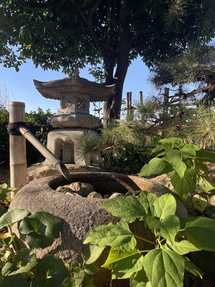 Header image for Osaka, Japan