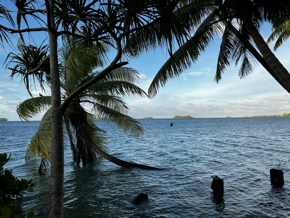 Header image for Palmyra Atoll, United States Minor Outlying Islands