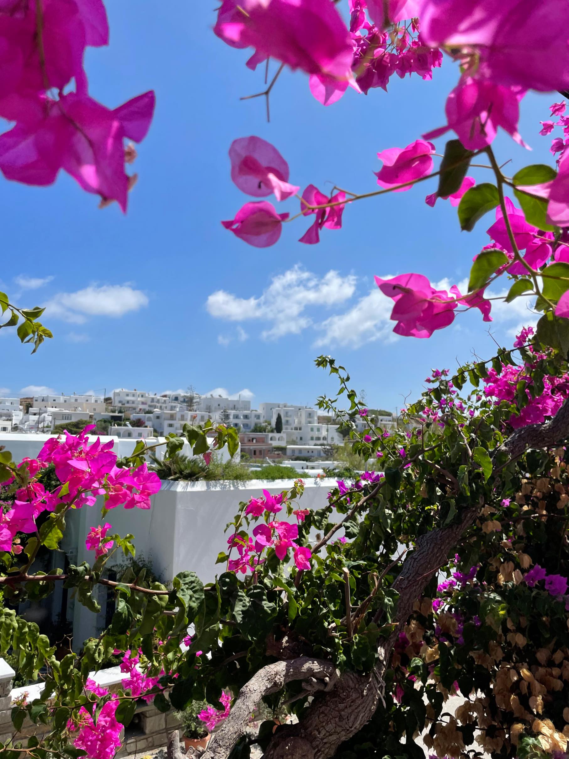 Header image for Paros, South Aegean, Greece