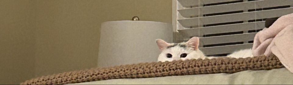 Header image for Pittsburgh, PA, United States