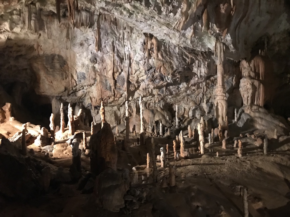 Header image for Postojna Cave, Jamska cesta 30, 6230 Postojna, Slovenia