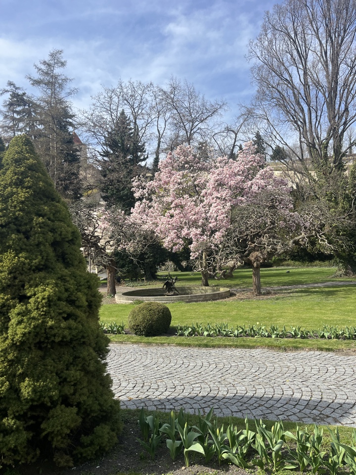 Header image for Prague, Czechia