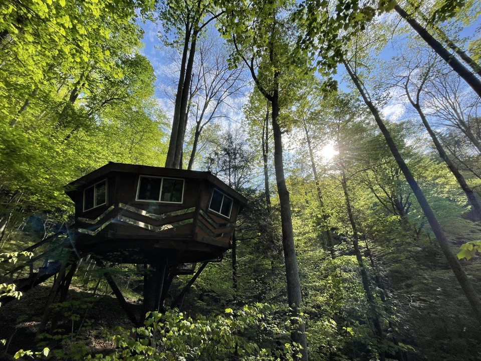 Header image for Red River Gorge, 12064 Campton Rd, Stanton, KY  40380, United States