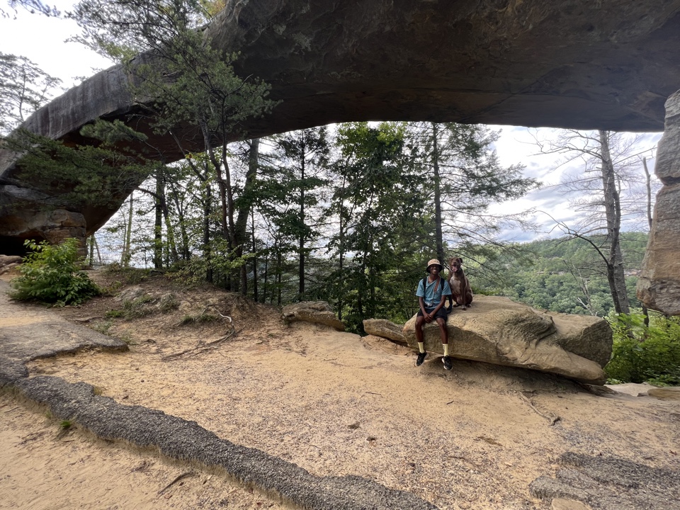 Header image for Red River Gorge Geological Area, Skybridge Rd, Frenchburg, KY 40322, United States