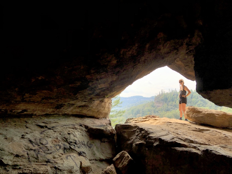 Header image for Red River Gorge Geological Area, Skybridge Rd, Frenchburg, KY 40322, United States