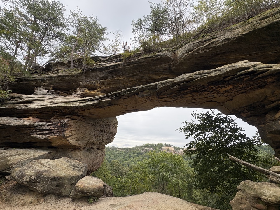 Header image for Red River Gorge Geological Area, Skybridge Rd, Frenchburg, KY 40322, United States