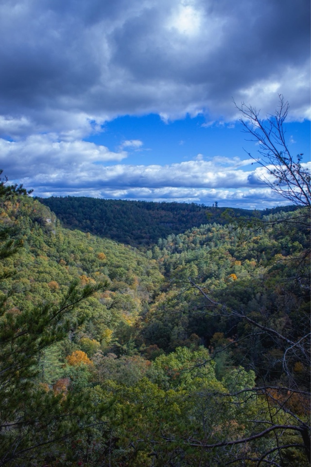 Header image for Red River Gorge, Stanton, KY 40380, United States