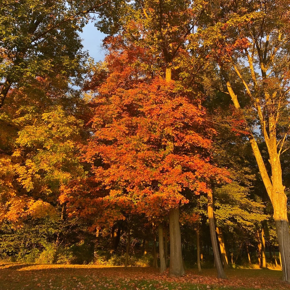 Header image for Richmond, VA, United States