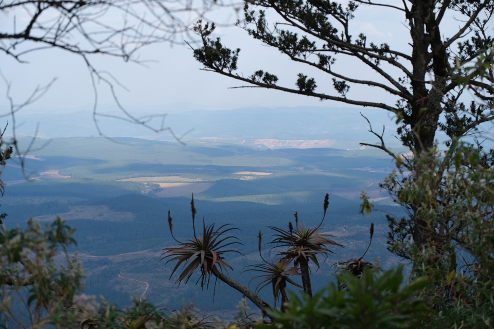 Header image for Sabie, Mpumalanga, South Africa