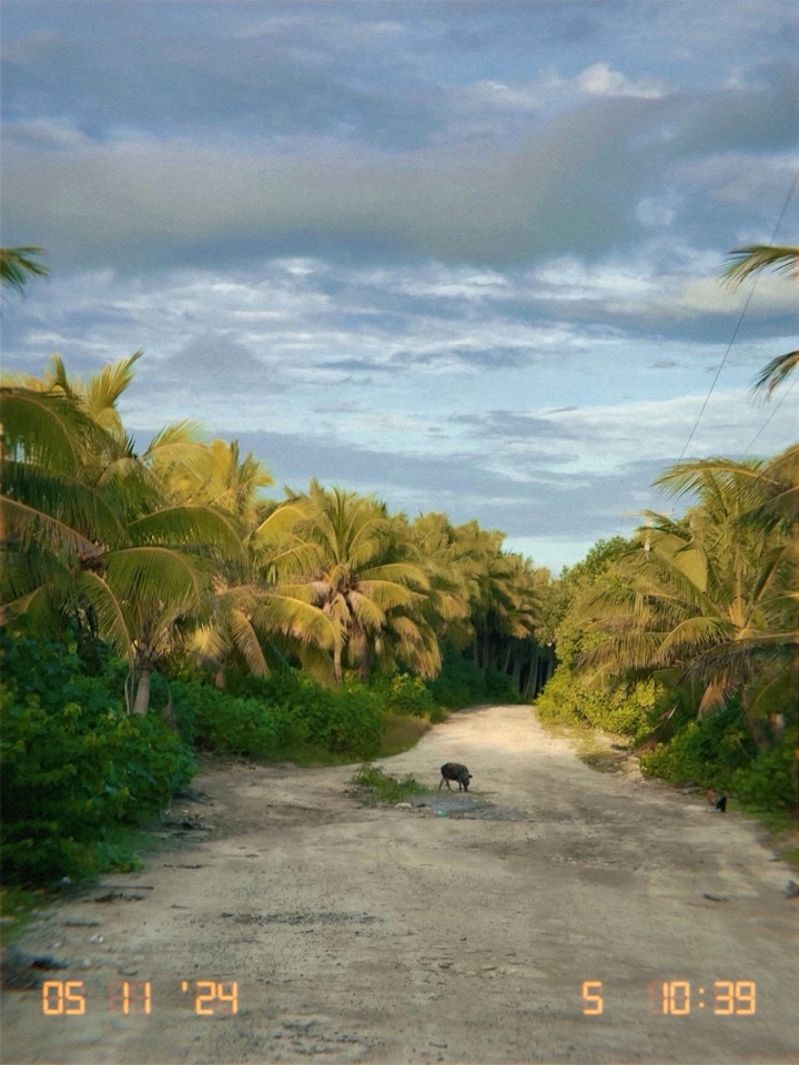 Header image for Samoa