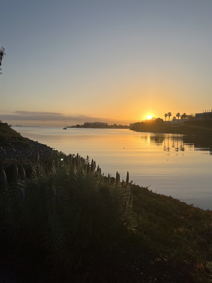 Header image for San Francisco, CA, United States