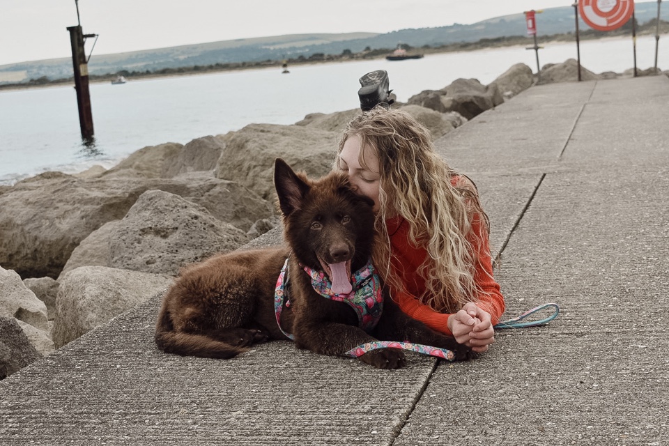 Header image for Sandbanks, Bournemouth, Christchurch and Poole, England