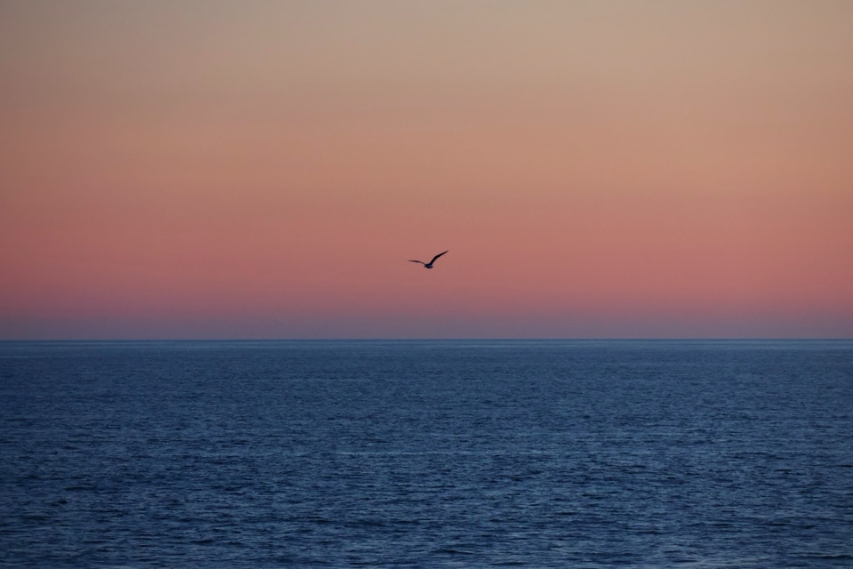 Header image for Santa Cruz Wharf, 21 Municipal Wharf, Santa Cruz, CA  95060, United States