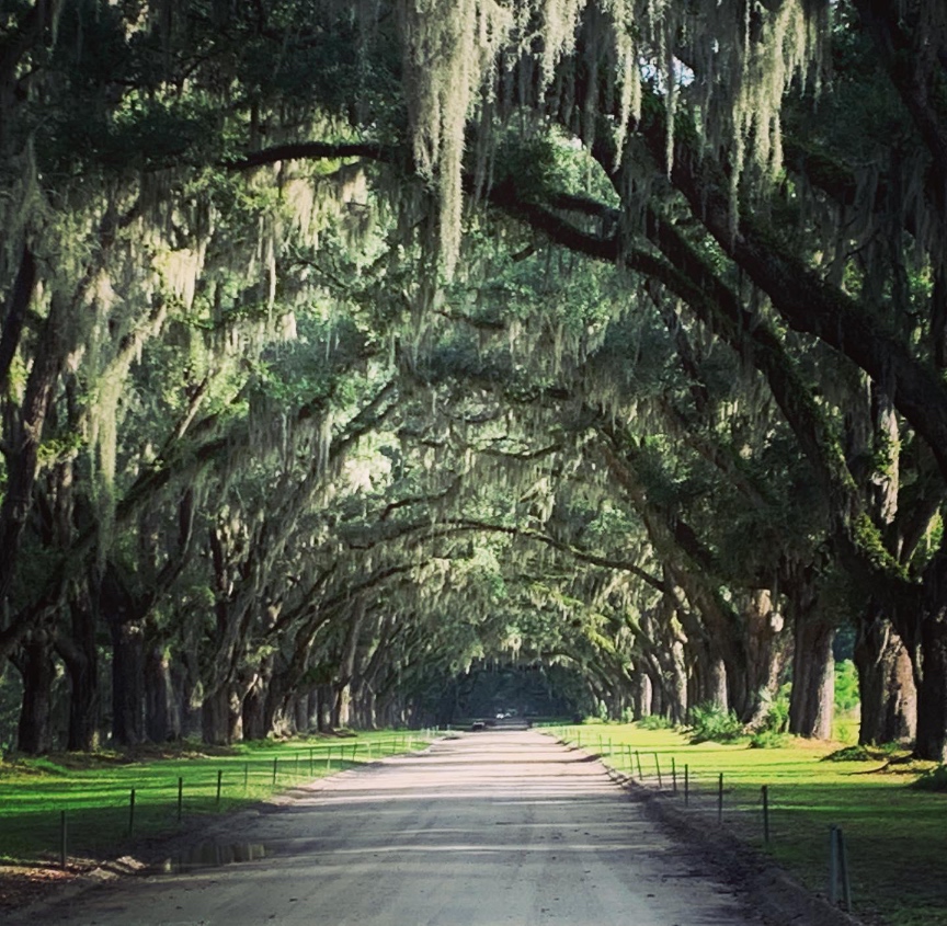 Header image for Savannah, Georgia, United States