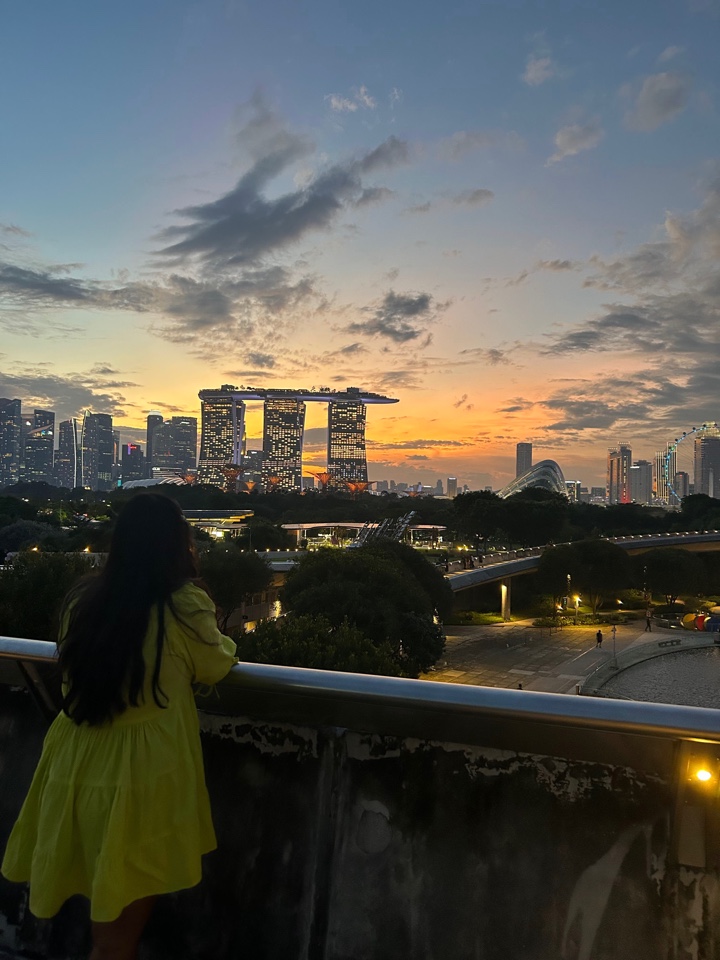 Header image for Singapore