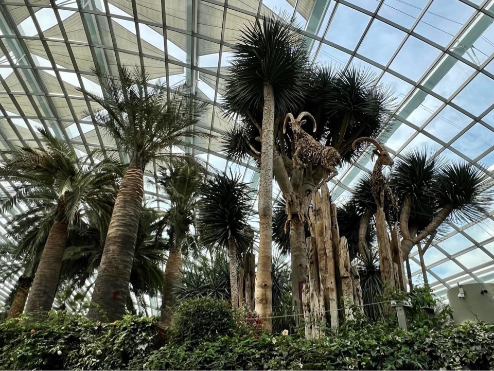 Header image for Singapore