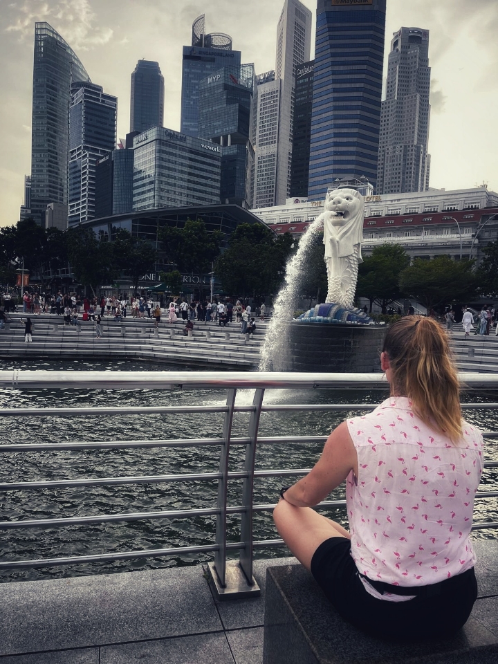 Header image for Singapur