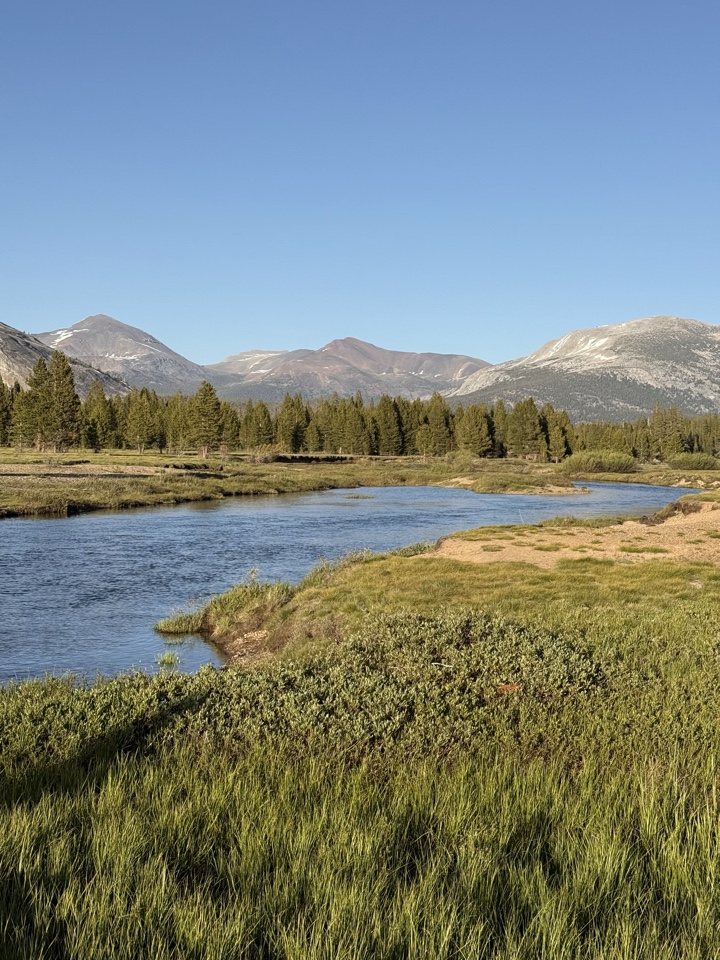 Header image for Tioga Rd, Yosemite National Park, CA  95389, United States