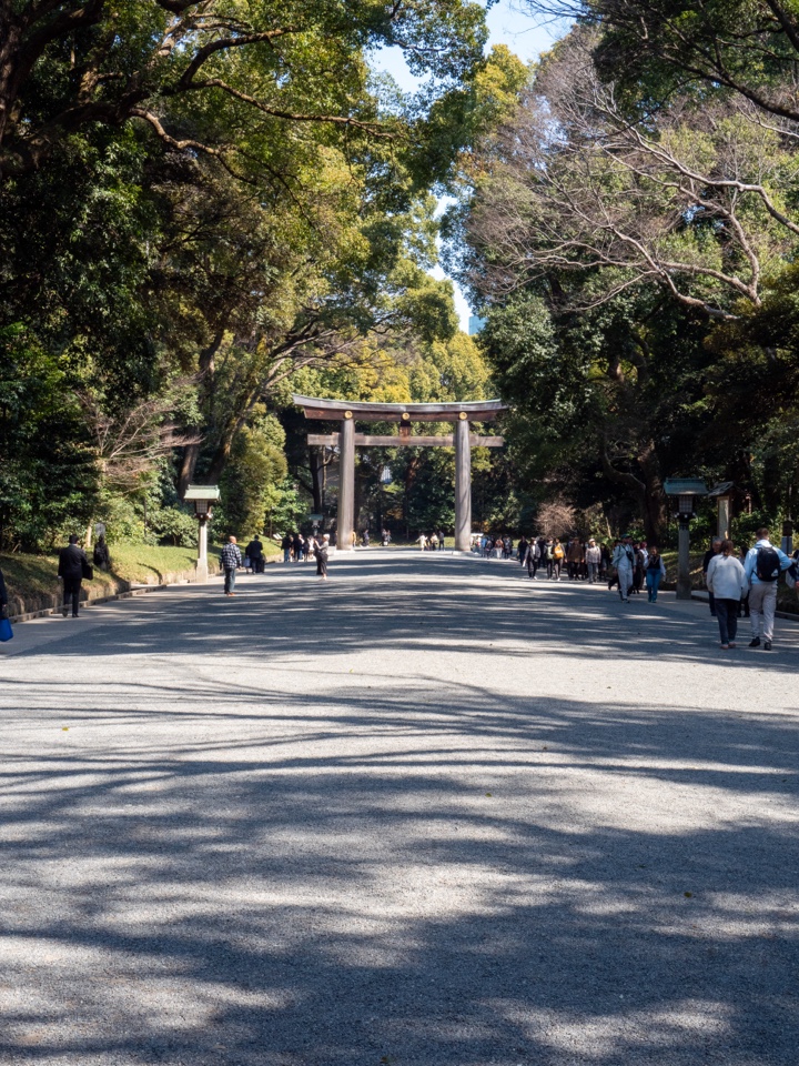 Header image for Tokio, Japón