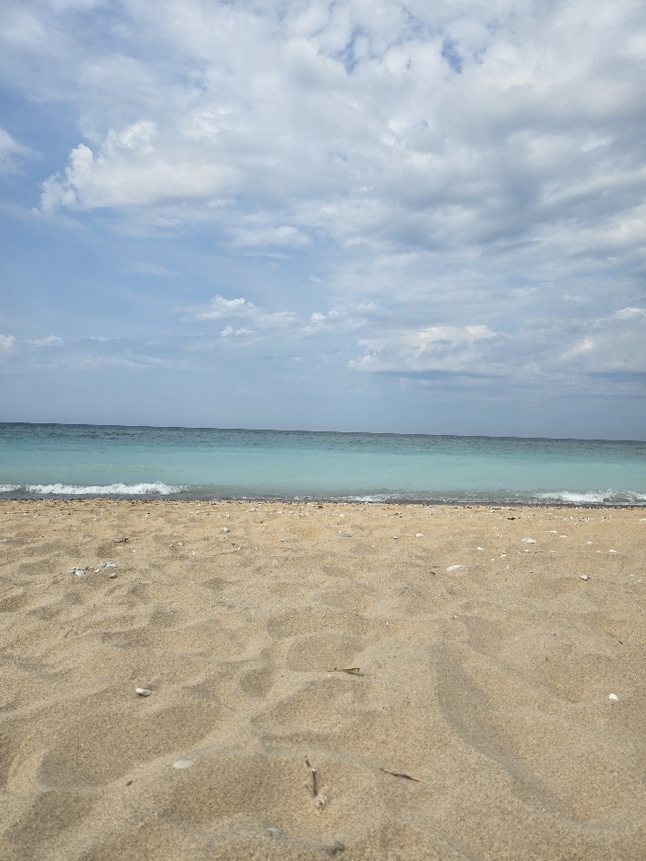 Header image for Traverse City, MI, United States