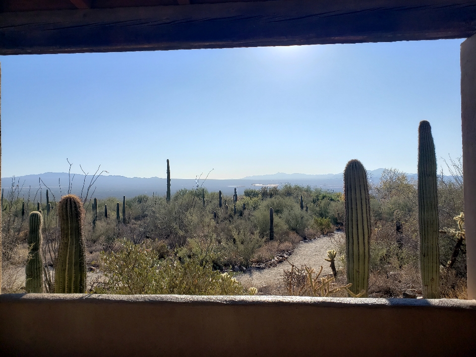 Header image for Tucson, AZ, United States