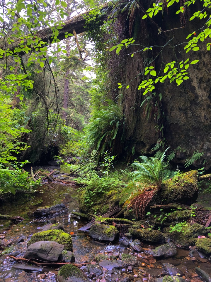 Header image for Vancouver Island, Colombie-Britannique, Canada