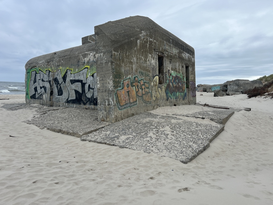 Header image for Vedersø Klit, 6990 Ulfborg, Danmark