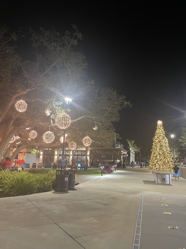 Header image for Venice, FL, United States