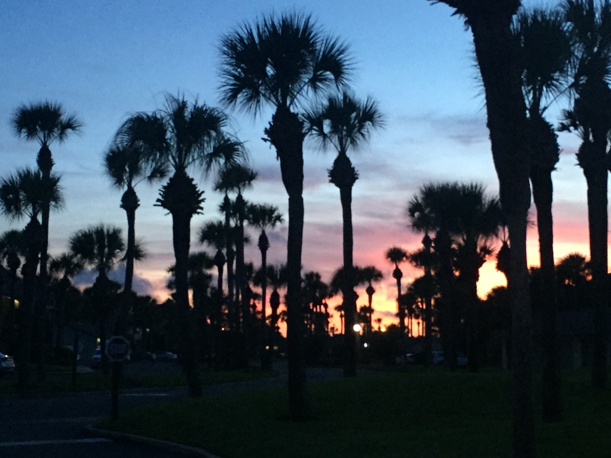 Header image for Venice, Florida, United States