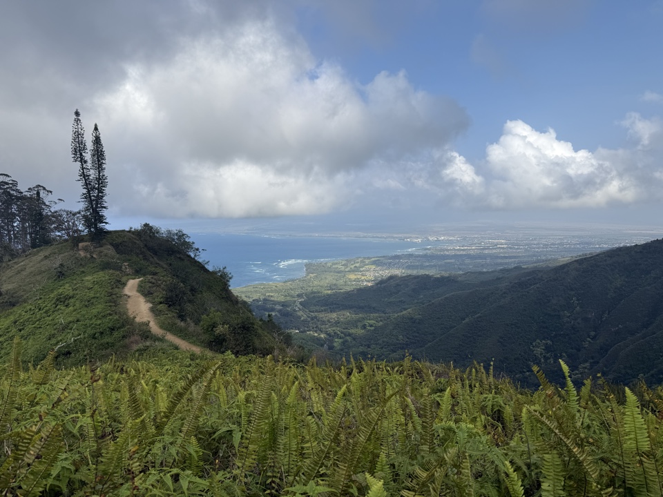 Header image for Waihee Ridge Trail, Wailuku, HI 96793, United States