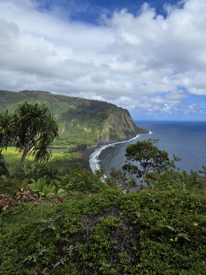 Header image for Waimea, HI, United States