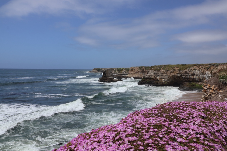 Header image for Wilder Ranch, Santa Cruz, CA  95060, United States