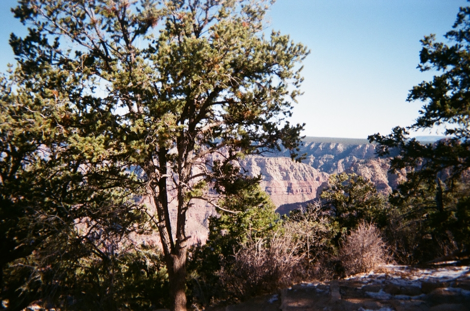 Header image for Williams, AZ, United States