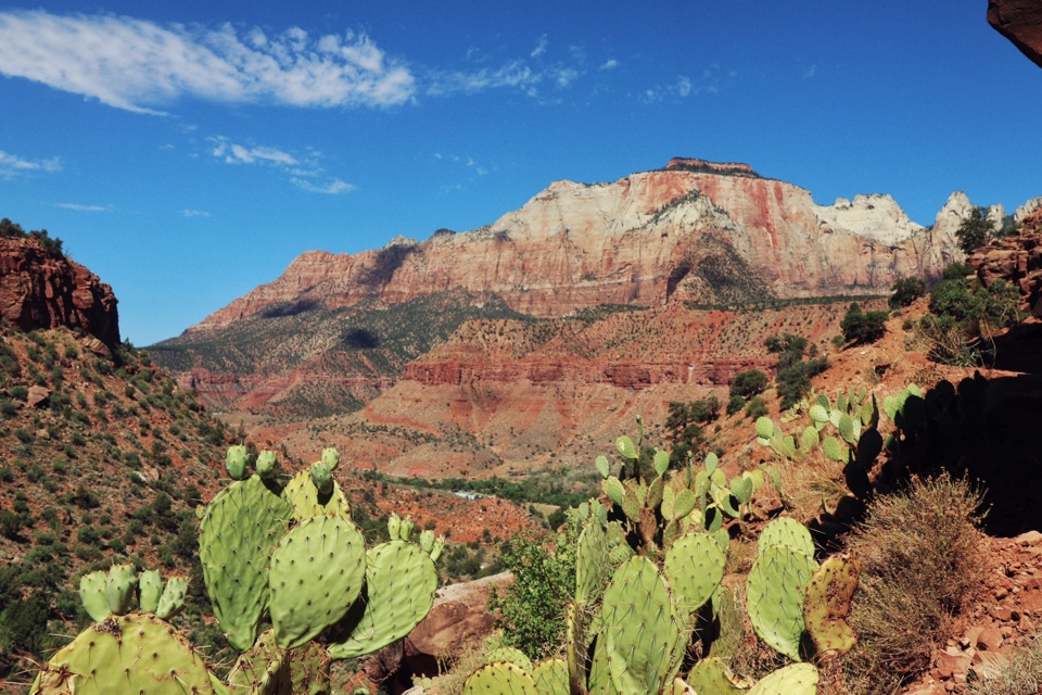 Header image for Zion National Park, UT  84767
United States