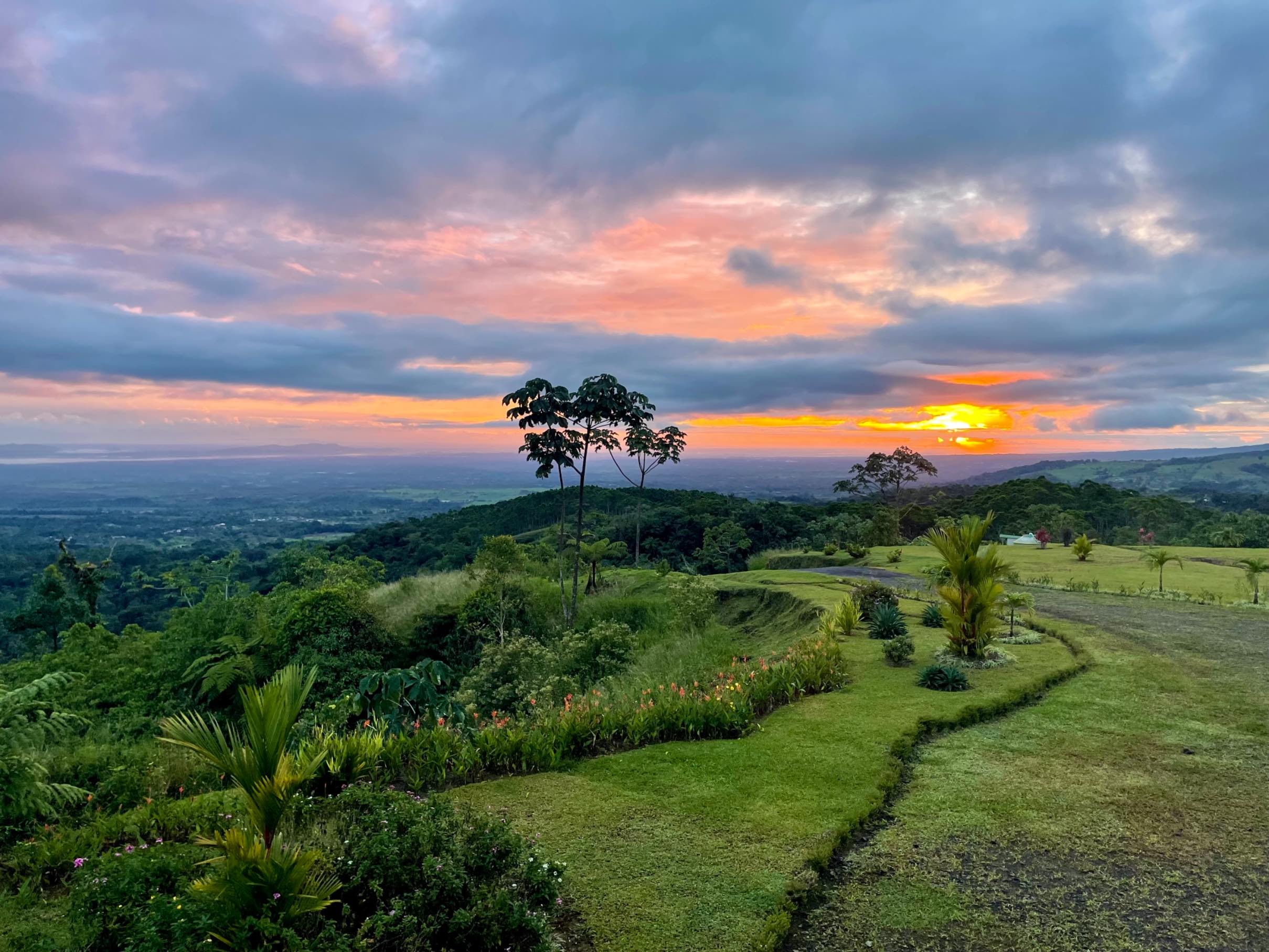 Danabev's header image