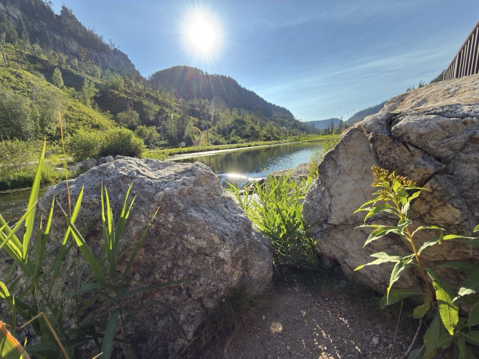 DustNtrailz's header image