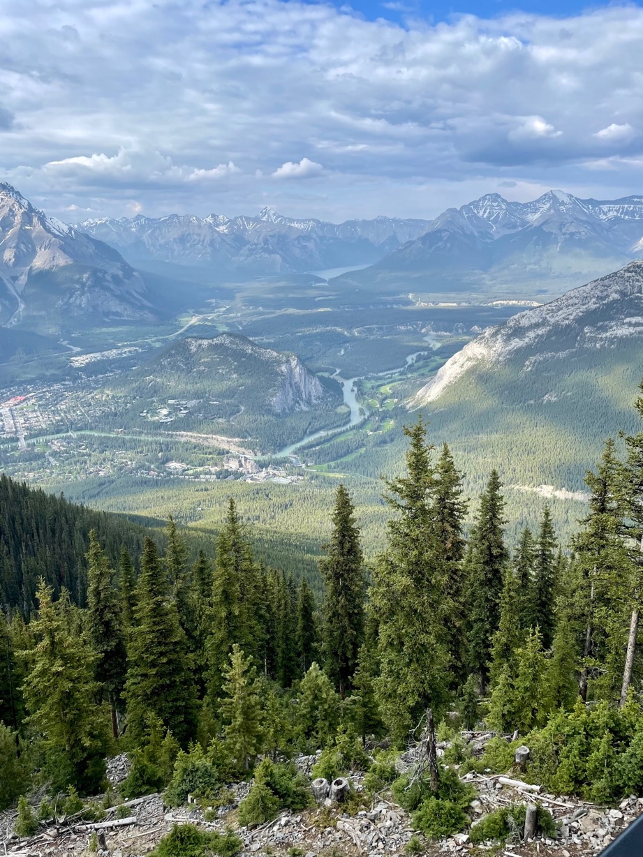 Hfieni's header image