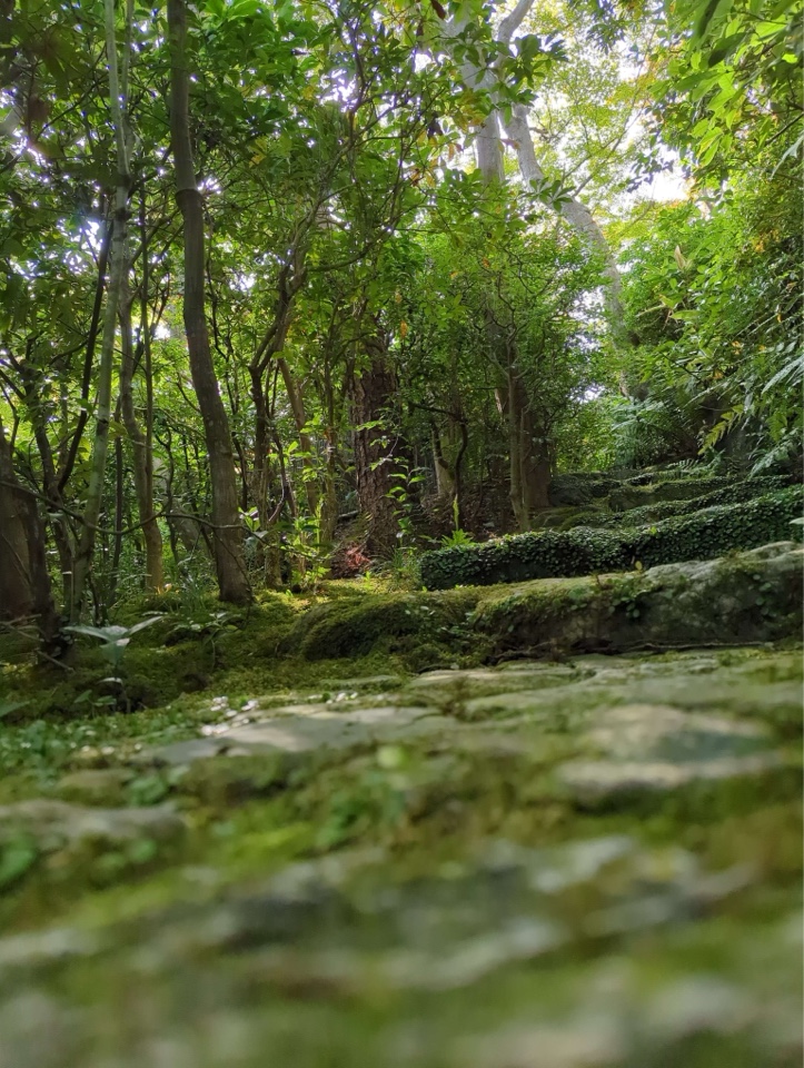 Koimeii's header image