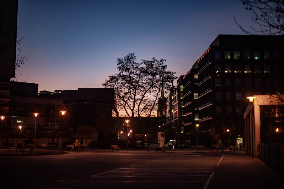 Lunali0812's header image