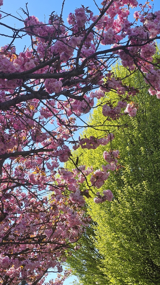 Maďo's header image
