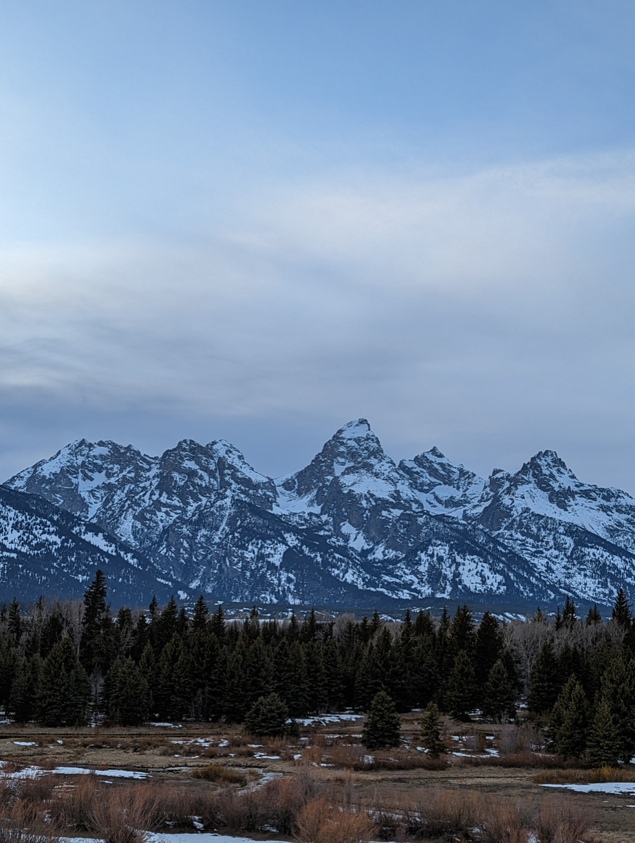 Mecky513's header image