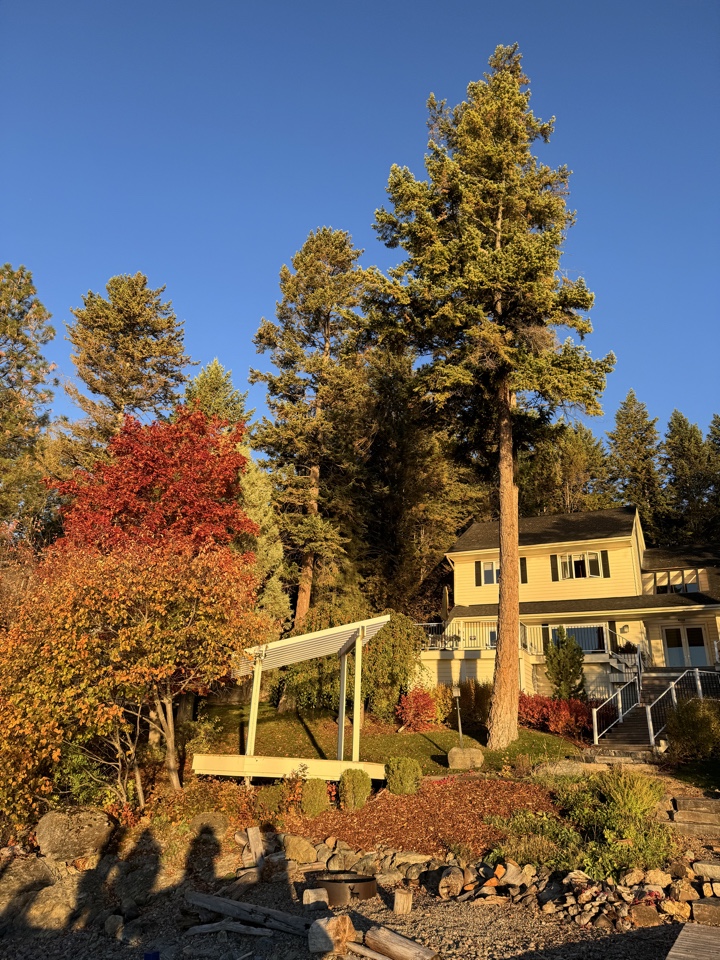 MrKairros's header image