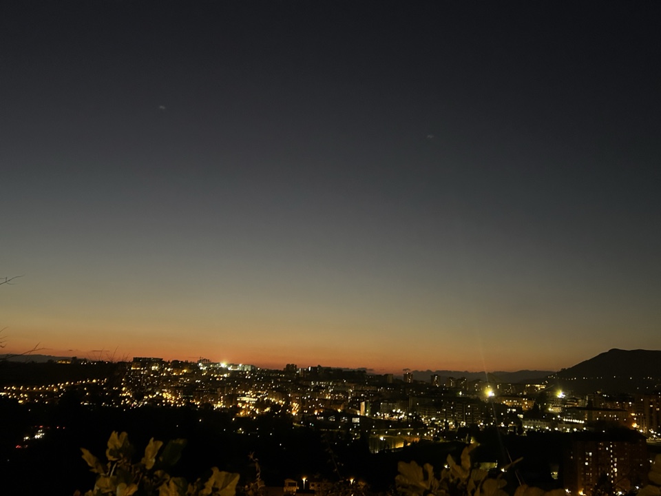 Paula's header image