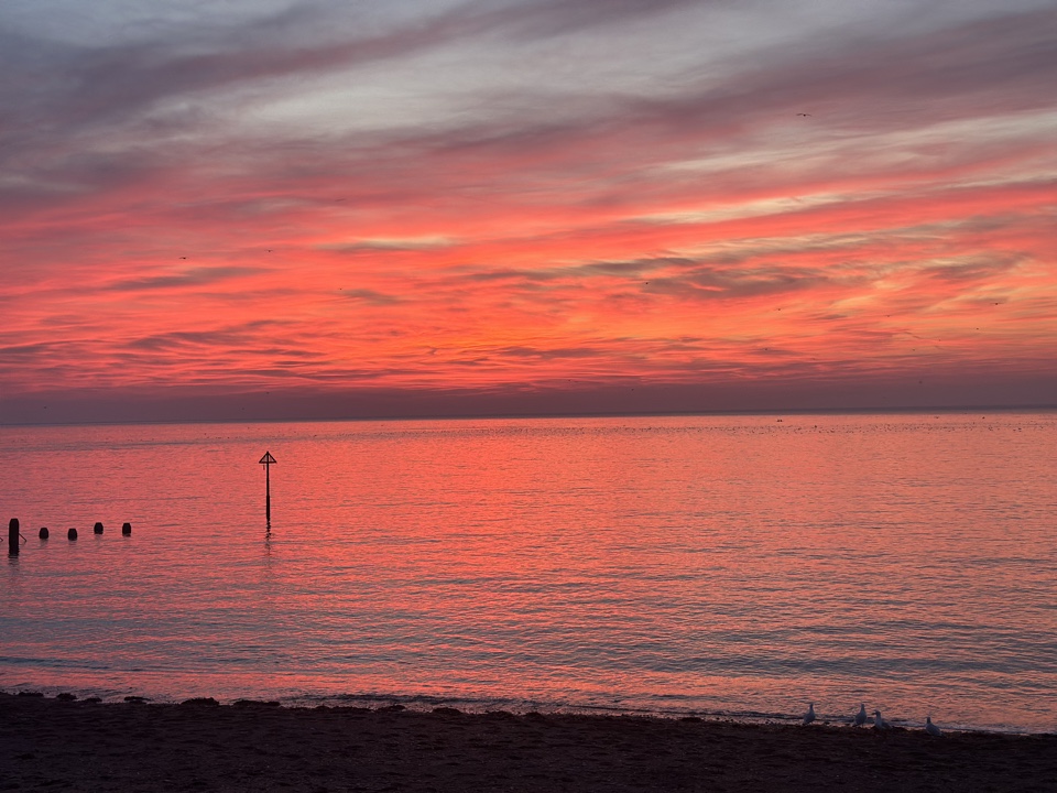 Shannon's header image