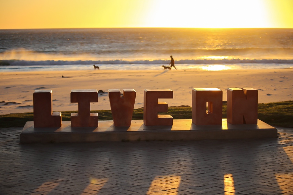 VanessaLH's header image
