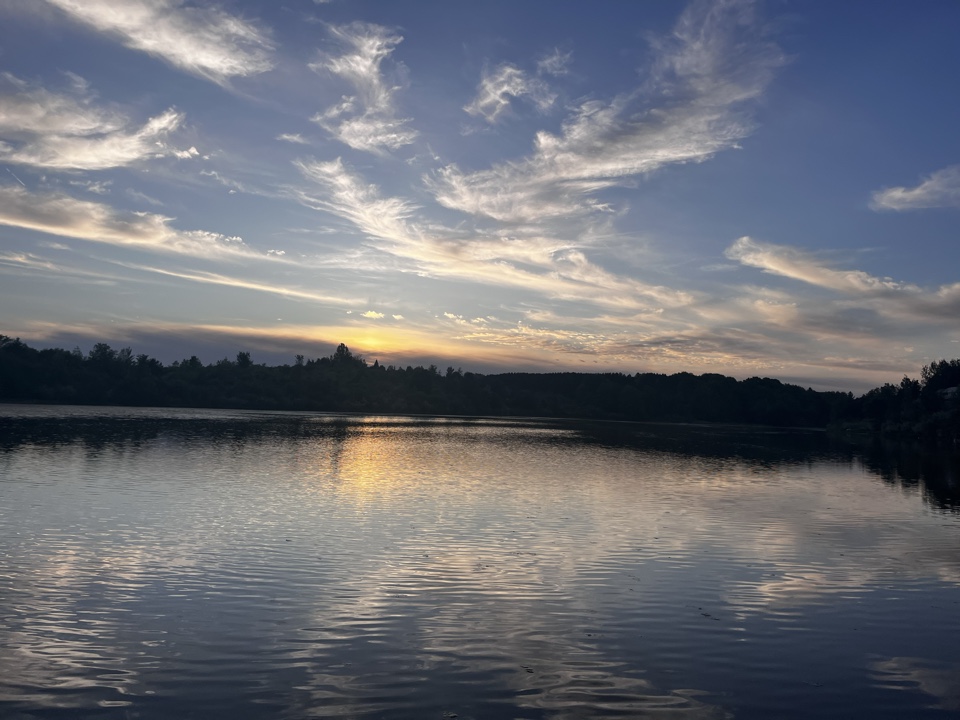 Veronica0301's header image